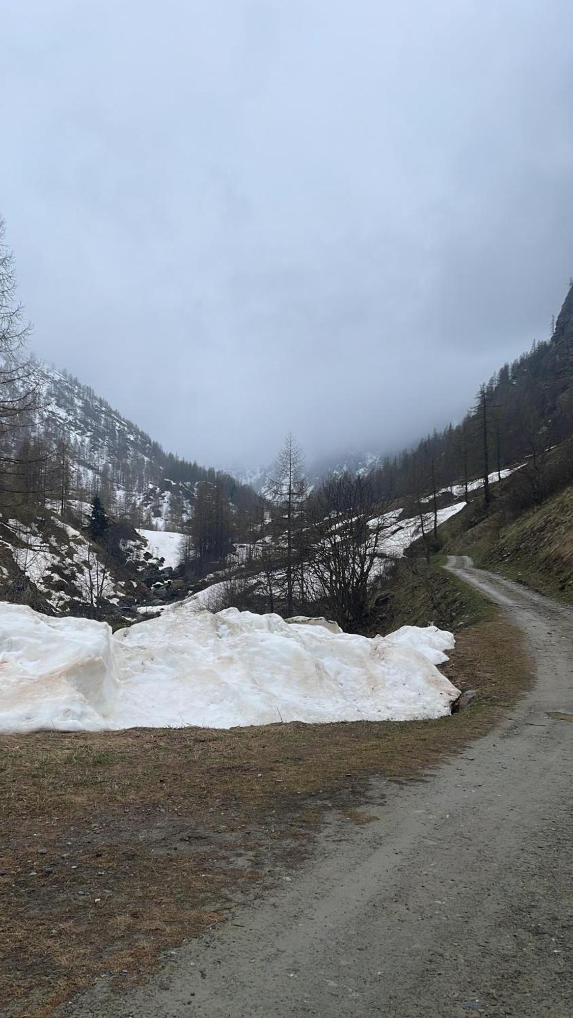Laghi Di Como Appartamento Di Licinia E Mario Asso Eksteriør bilde