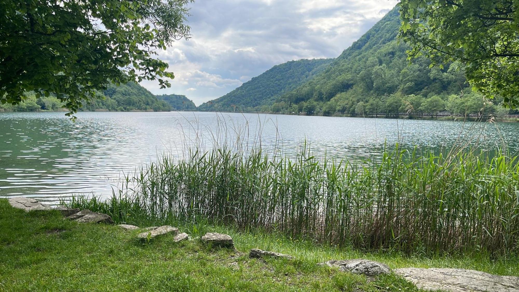 Laghi Di Como Appartamento Di Licinia E Mario Asso Eksteriør bilde